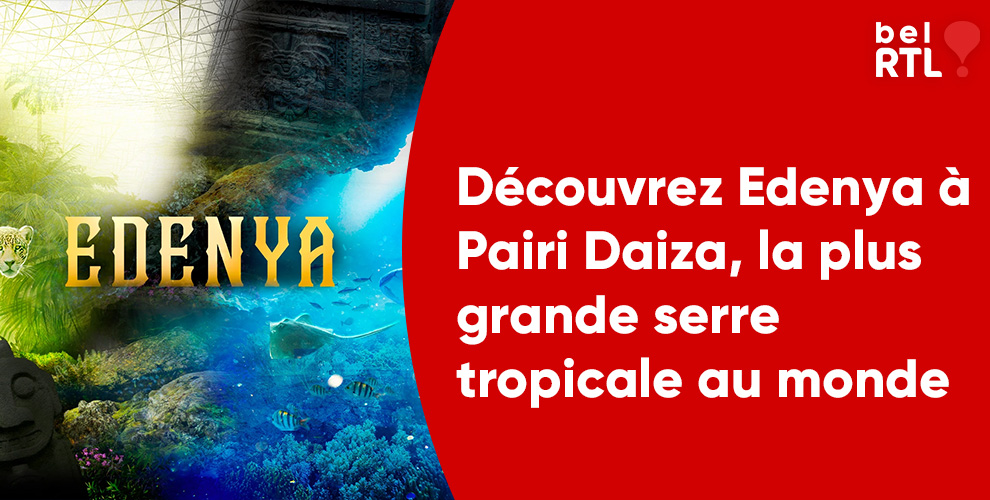 Edenya concours bel RTL pairi daiza