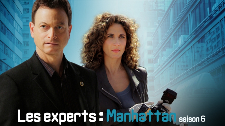 Les experts : Manhattan: Point of View