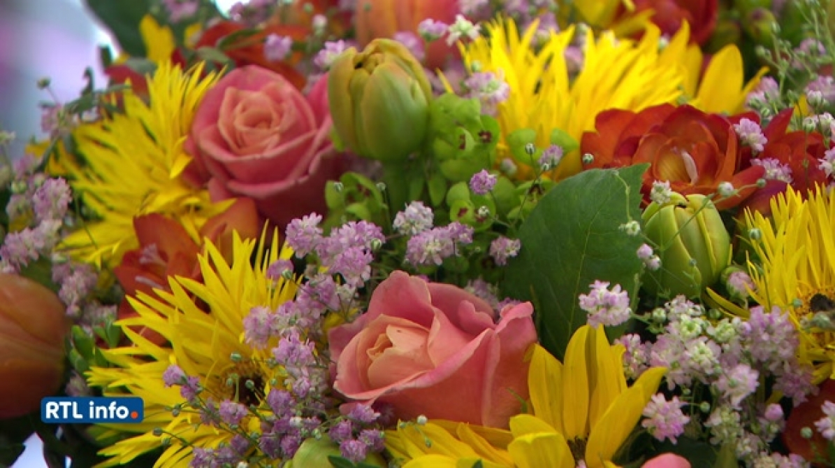 Fetes Des Meres / La Fête Des Mères * Bonne Fête Maman! : 20/02/12 11