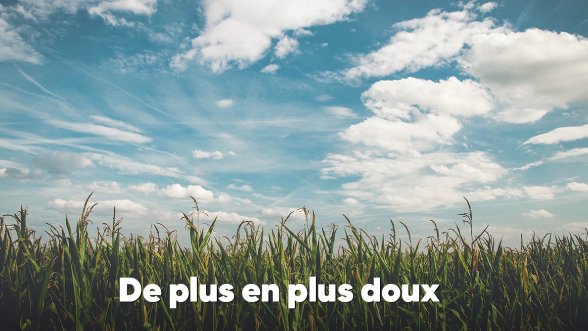 météo 21 juillet 2025 belgique