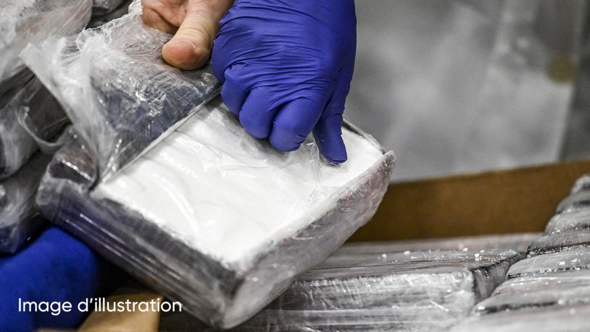 Ils auraient aidé des mules à faire passer de la drogue à l'aéroport de