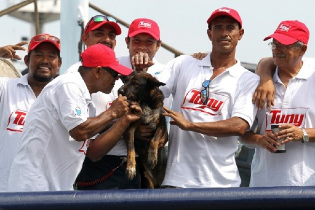 Un náufrago australiano rescatado en el mar abandona a su perro en México