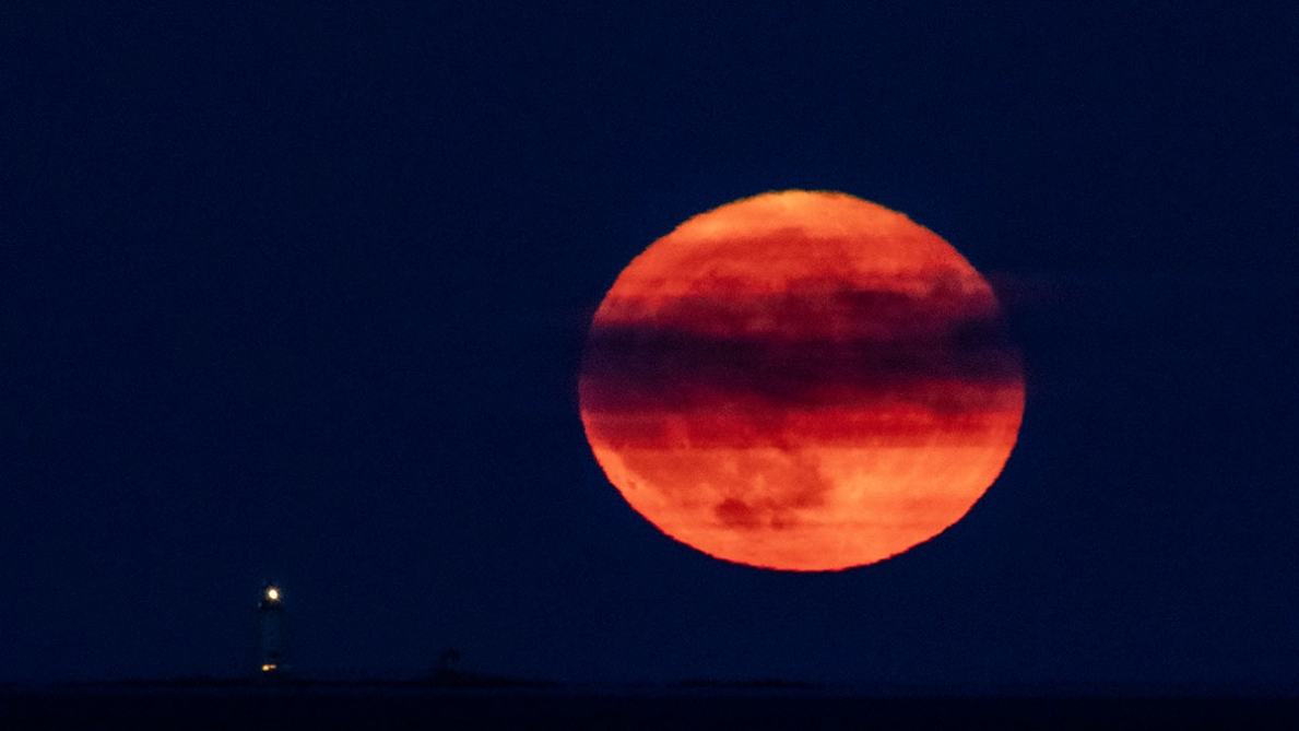 Magnifiques images la super lune de l'esturgeon visible sur la côte