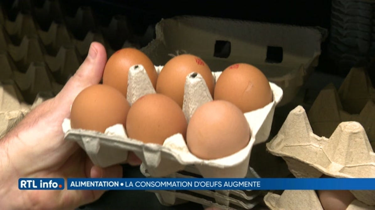 La consommation d'oeufs a augmenté de 5 chez nous en un an RTL Info
