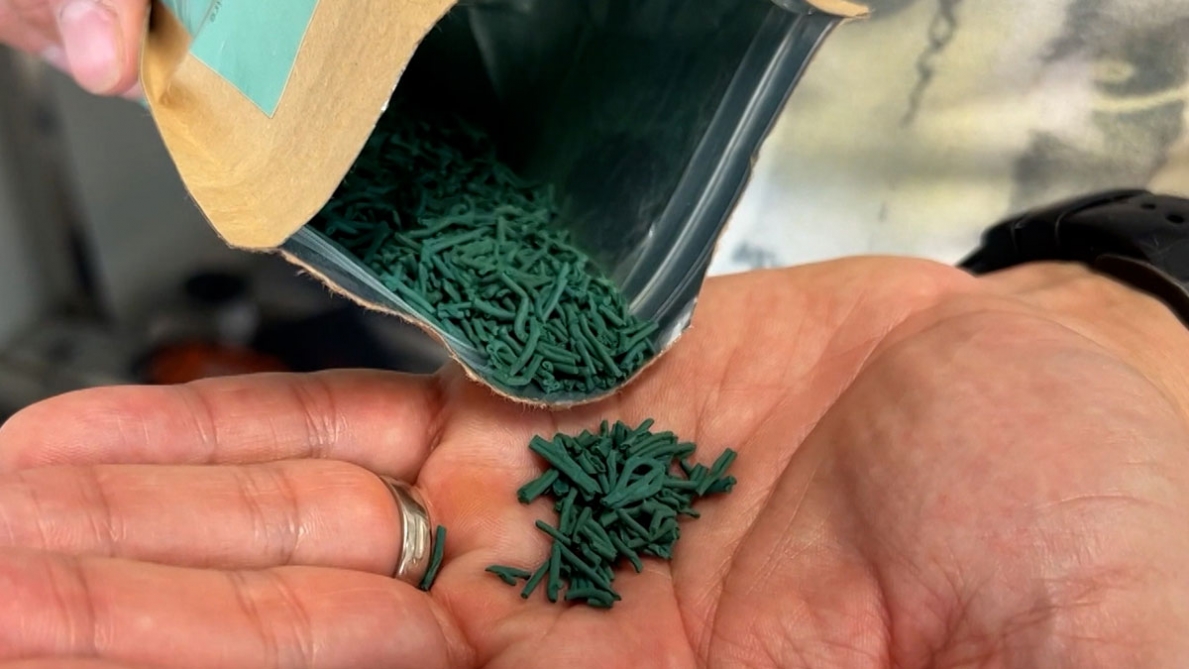 La spirulina, un superfood chiamato EPO naturale, viene ora prodotto in Vallonia: quali sono i suoi benefici?
