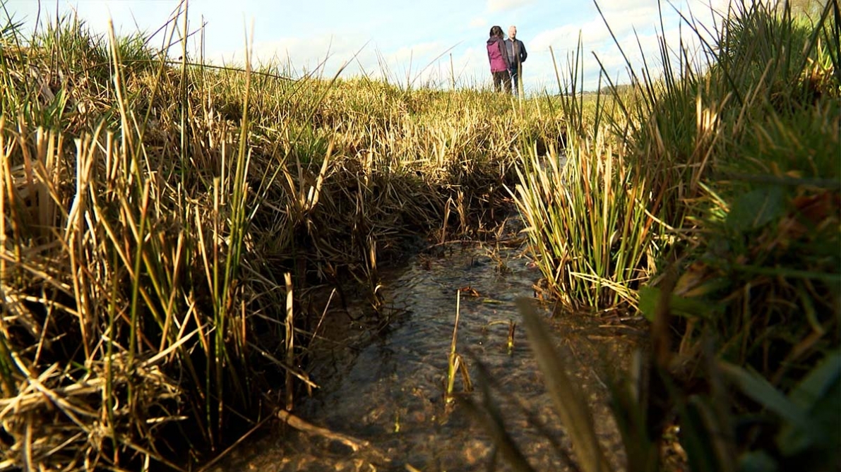 « Des solutions pour une eau potable de qualité » : comment les agriculteurs wallons réduisent-ils la pollution des nappes phréatiques ?