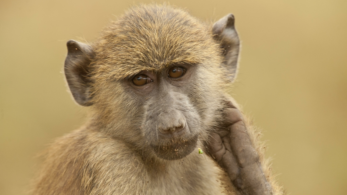 Hylia fawkes of i had an awesome time with Barbie see her