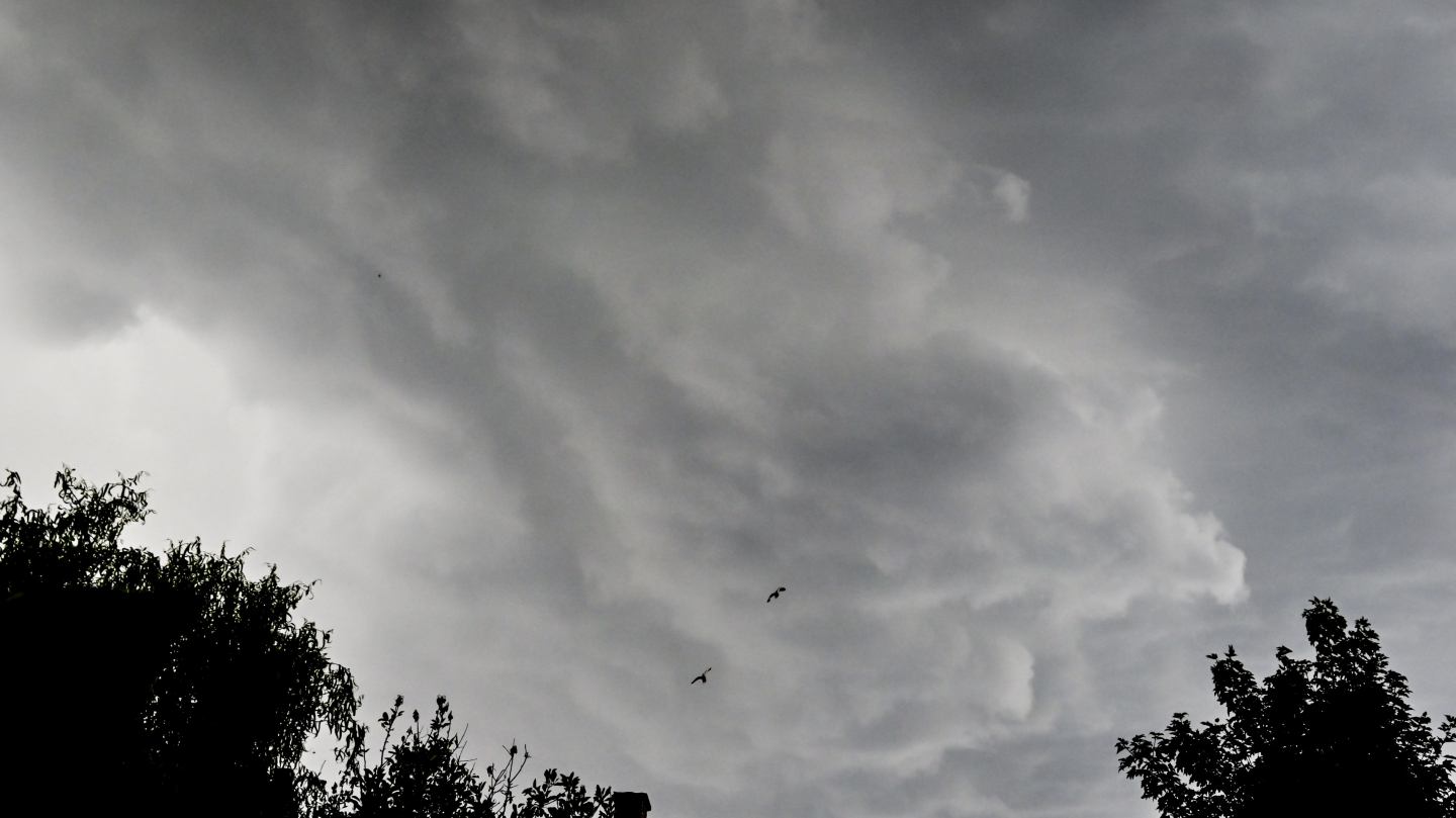 BELGA PHOTO DIRK WAEM