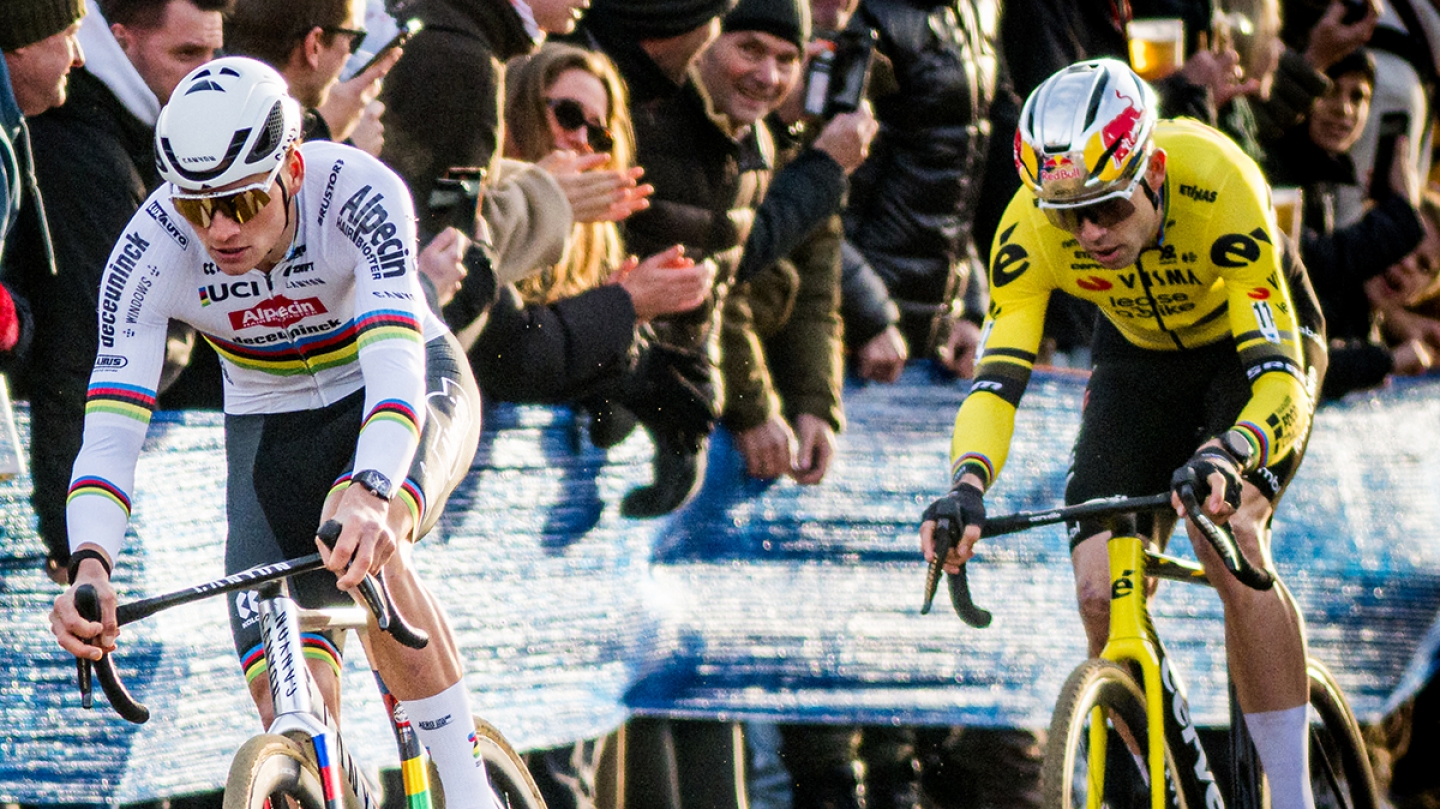 Belgaimage-150832370 copy.jpg