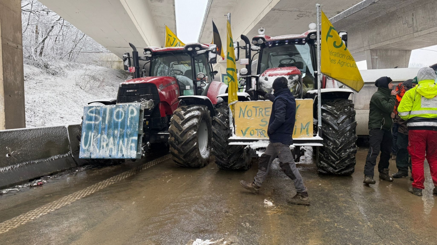 WhatsApp Image 2026-01-10 at 11.09.06.jpeg