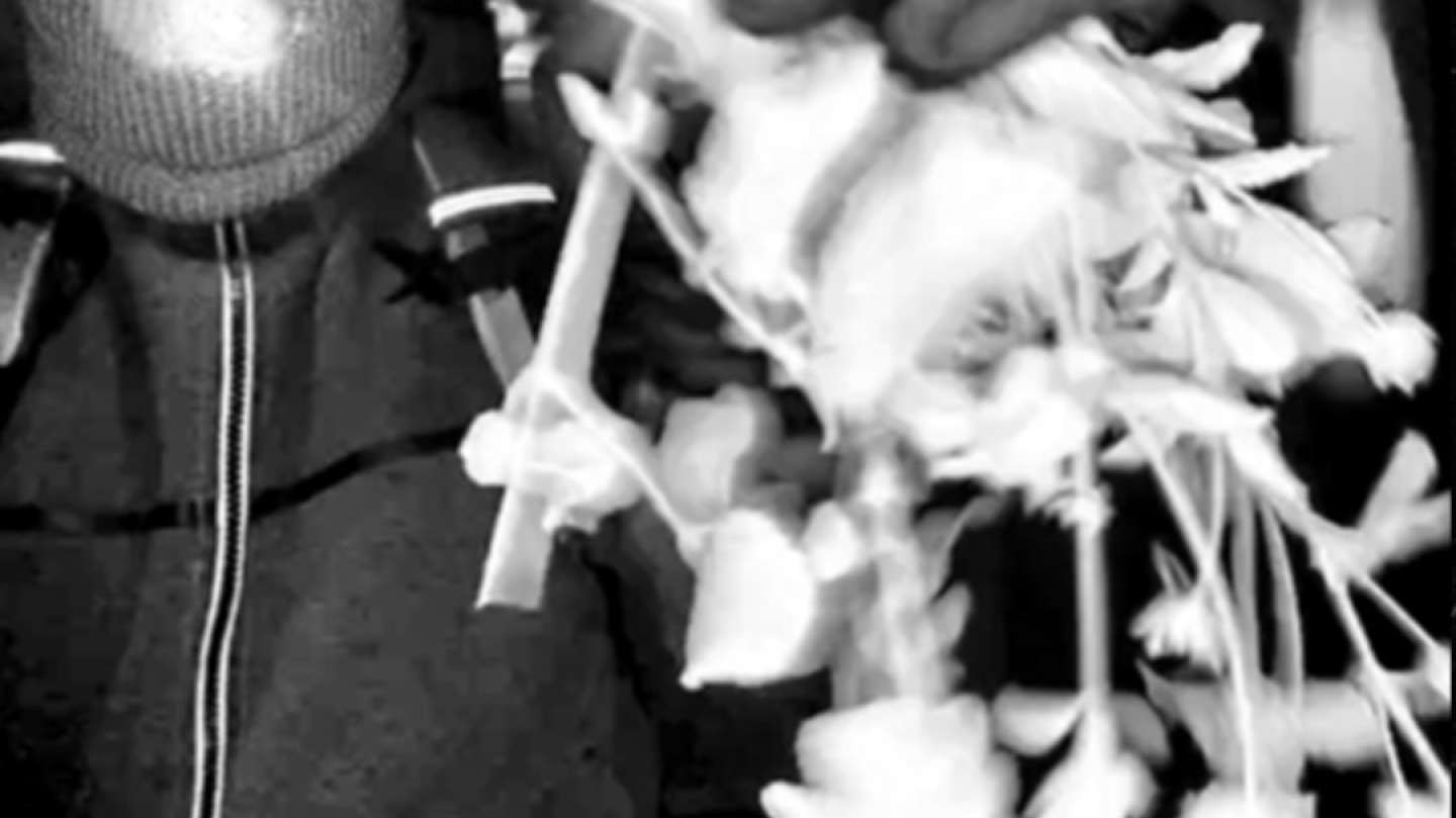 HA0K5WMWkAAW5cb.jfif