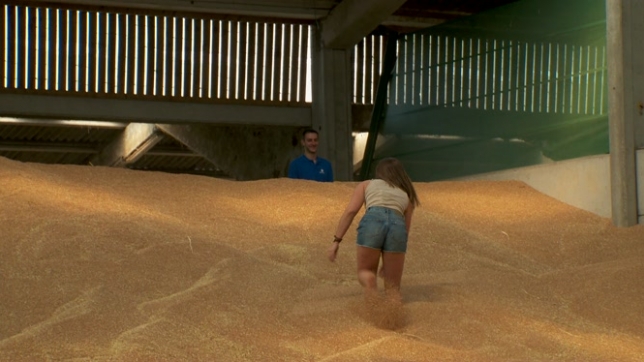 Quand les grains de blés deviennent le terrain de jeu COQUIN de Pierre et Adeline (vidéo)