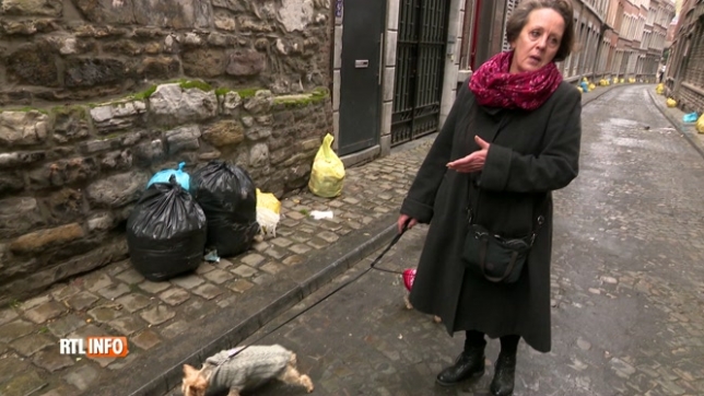 Les rats envahissent le centre de Liège: Véronique peut compter sur Shany, elle chasse les rats de manière naturelle