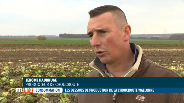 Jérôme, agriculteur à Gembloux, propose une choucroute 100% wallonne: voici ses secrets (vidéo)