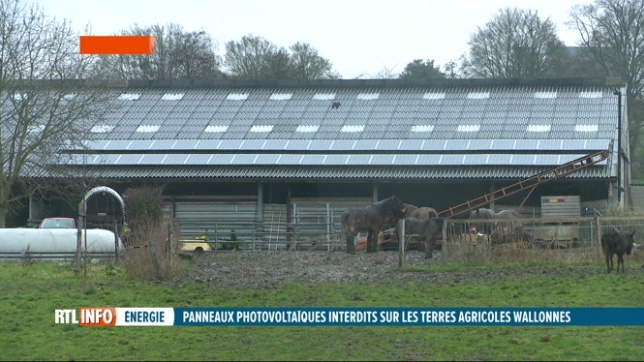 La RW ne veut pas de panneaux photovoltaïques sur les terres agricoles