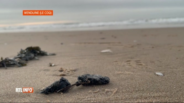 Une pollution aux hydrocarbures constatée sur plusieurs plages de la côte belge
