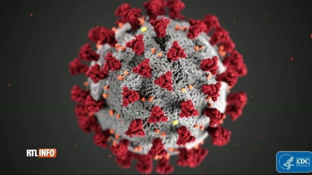 Coronavirus: les chiffres des contaminations et des hospitalisations
