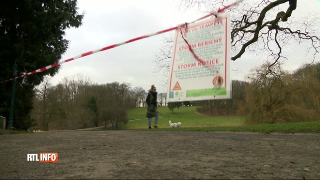 Les parcs, jardins et bois de Bruxelles fermés à partir de 18h00 à cause du vent