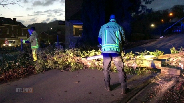 Rafales de 90km/h: des arbres tronçonnés à Lives-sur-Meuse