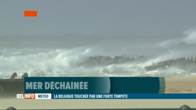 Tempête Eunice: les vents ont été les plus violents à la Côte belge