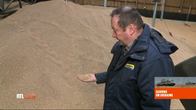 Guerre en Ukraine: le prix des céréales a atteint des records