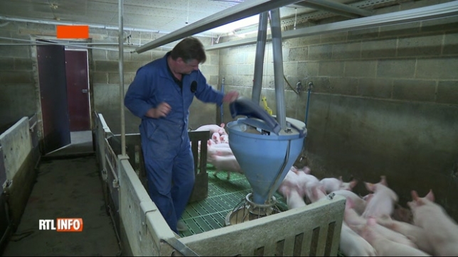 La guerre en Ukraine impacte la filière porcine