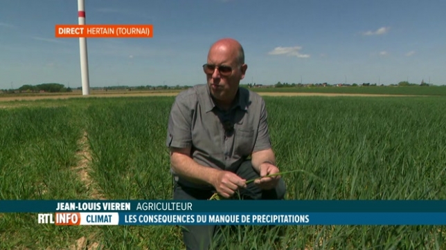 Météo: la Wallonie picarde est la région la plus touchée par la sécheresse