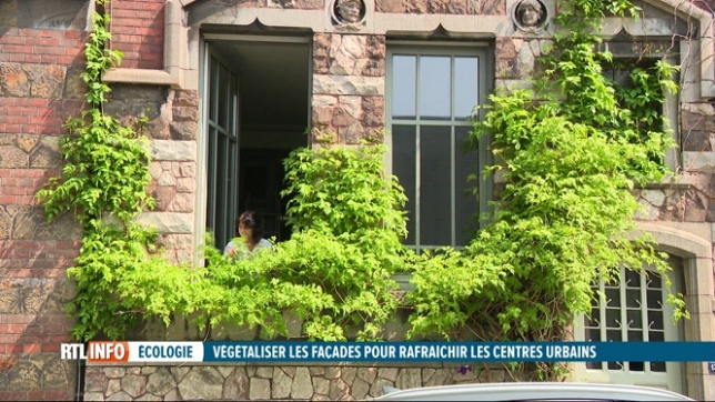 Liège développe une politique de végétalisation de façades d