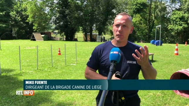 Des chiens de la SRPA engagés dans la brigade canine de Liège: On a testé et 4 ont réussi