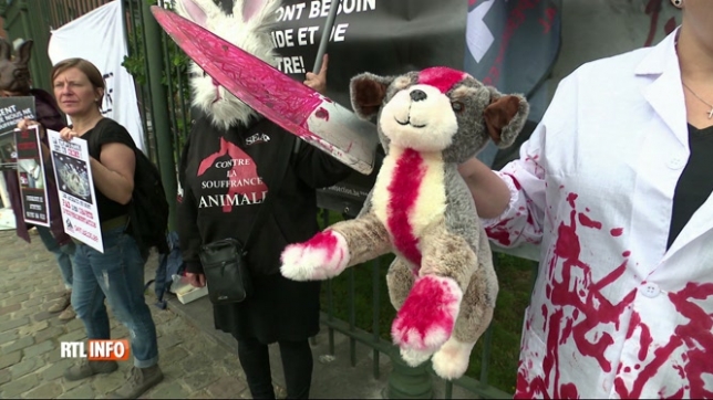 Bien-être animal: manifestation devant le cabinet de la ministre Tellier