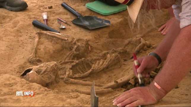Découverte de nouveaux ossements sur le site de la bataille de Waterloo