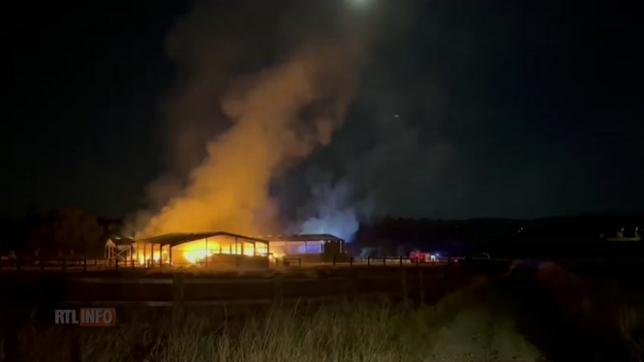 Impressionnant incendie cette nuit à Andenne: un hangar ravagé par les flammes