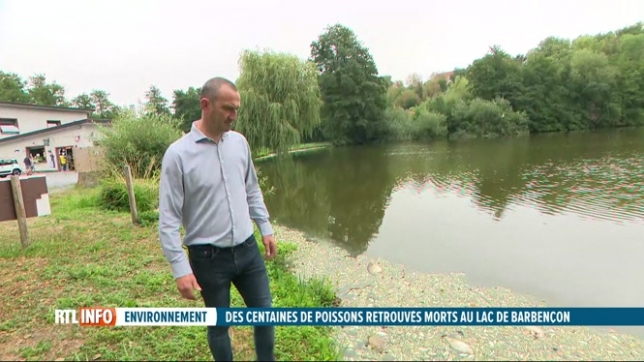 Beaumont: des milliers de poissons sont morts au lac de Barbençon