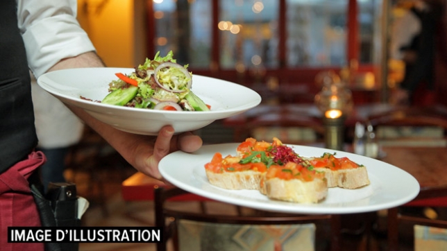 restaurant-plats-pexels-illu