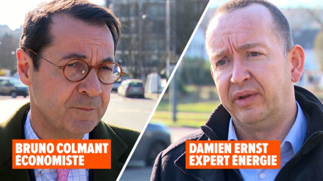 experts