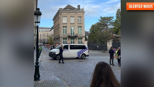 bxl2