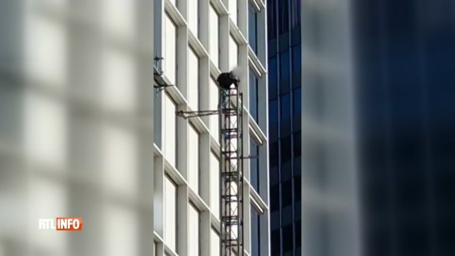Un homme sur un échafaudage dans le centre-ville de Bruxelles:  la police installe un périmètre de sécurité