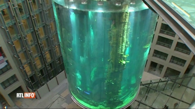 Un immense aquarium de 25 mètres de haut a explosé dans un hôtel de Berlin