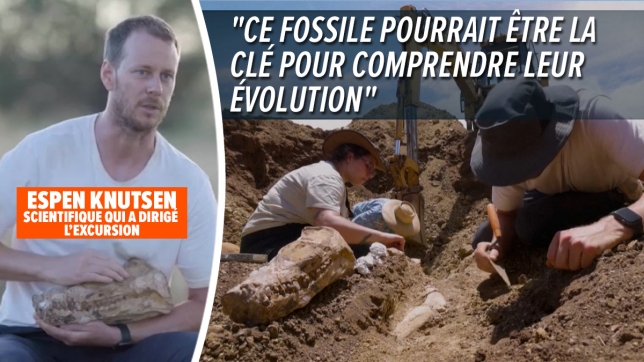 maquette-ultime-1200-px