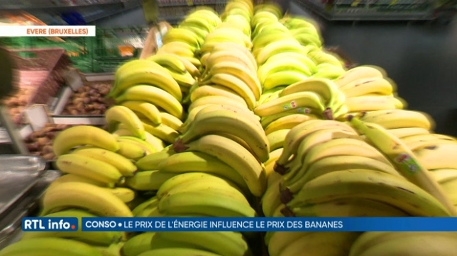 Le prix de la banane augmente à cause de la crise énergétique