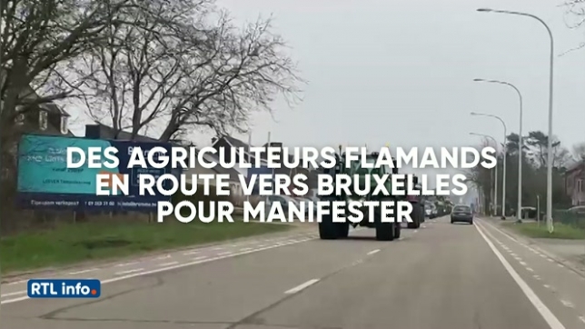 Des agriculteurs flamands en route vers Bruxelles pour manifester
