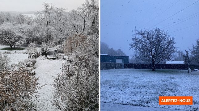 Edition numérique des abonnés