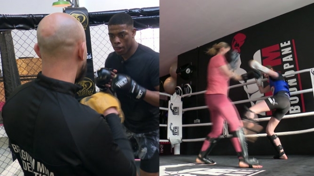 MMA ou boxe thaï: ces belges font rayonner les sports de combat chez nous