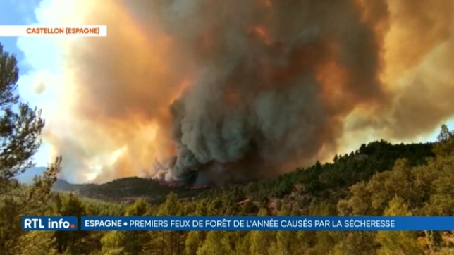 Espagne: les pompiers luttent toujours contre le premier grand incendie de 2023