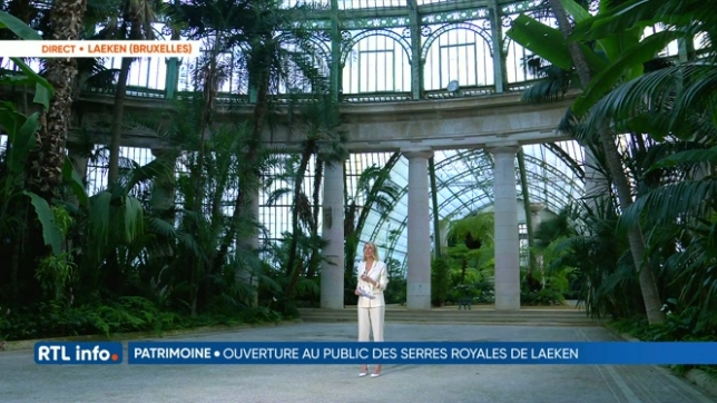Alix Battard, en direct des serres royales de Laeken, nous présente le jardin dhiver
