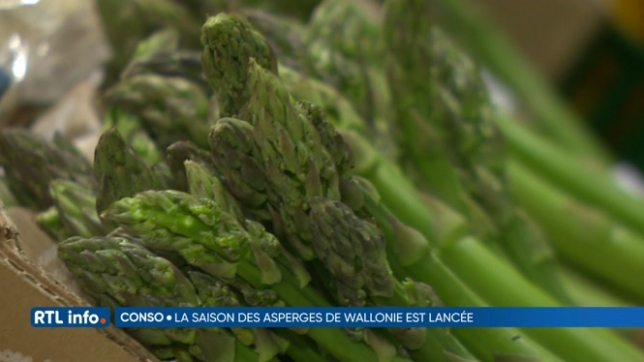 La saison des asperges de Wallonie est officiellement lancée