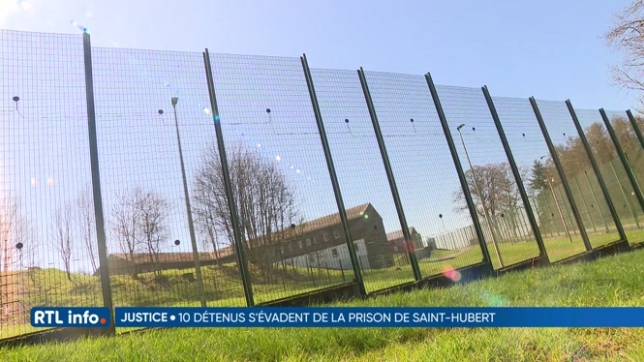 10 détenus de la prison de Saint-Hubert s