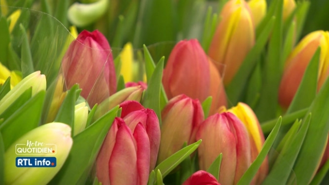 Les fleurs belges sont parfois plus chères que les étrangères; pourquoi ?