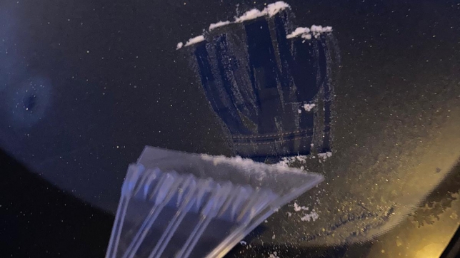 Edition numérique des abonnés