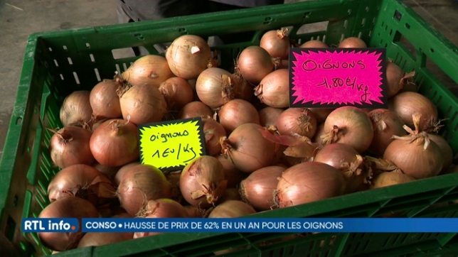 Panier RTL info / Test-Achats: le prix des oignons a augmenté de 62% en un an
